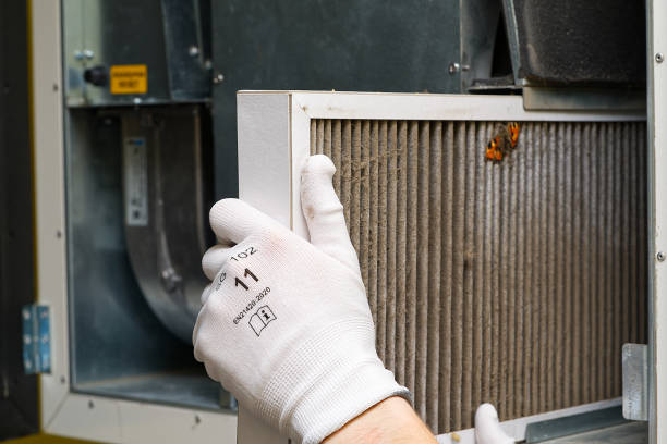 Best Air Duct Cleaning Near Me  in North Brooksville, FL